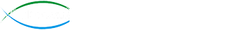 현대자동포장기 HD PACKER